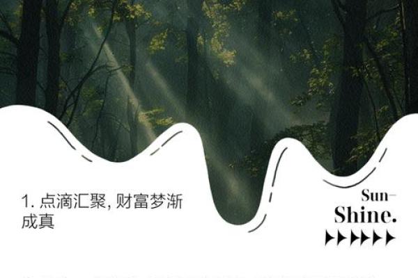 揭秘农历八月兔，如何抓住财富机会