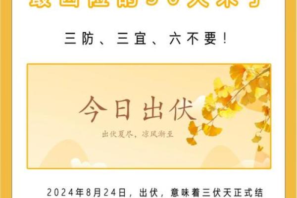 了解农历三伏的来历与习俗，你不可不知的养生秘诀