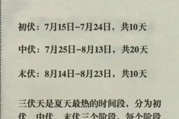 了解农历三伏的来历与习俗，你不可不知的养生秘诀