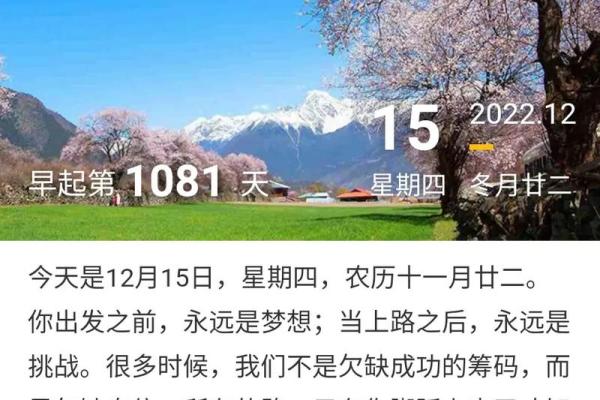 揭秘农历十五出生者的命运轨迹，成功与挑战并存