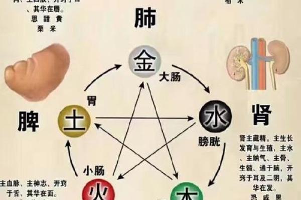金字名字的神秘力量与风水影响