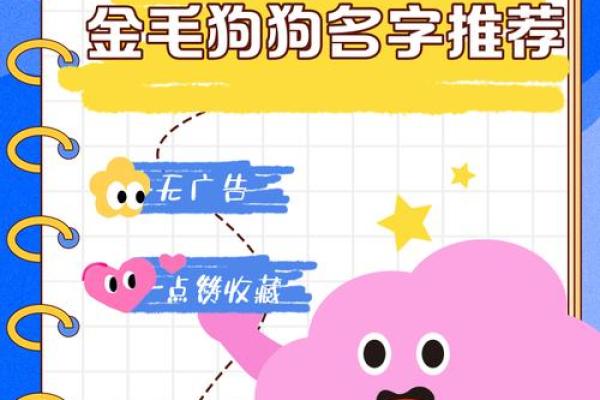 精选适合各种狗狗的好听名字