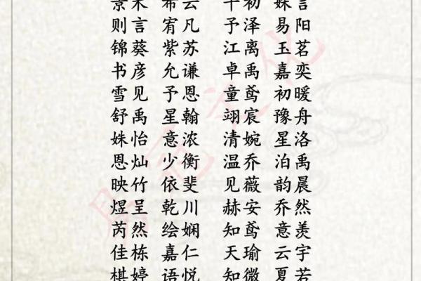 时姓女孩名字大全，涵养与气质兼具的完美选择