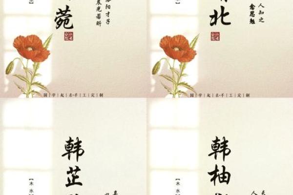 韩姓女孩名字的独特选择与寓意解析
