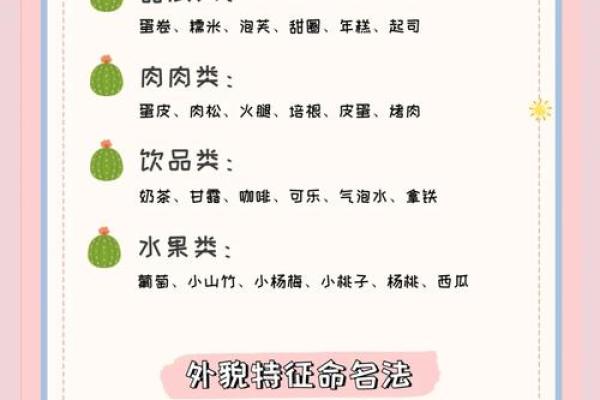 精选适合女猫咪的温馨名字