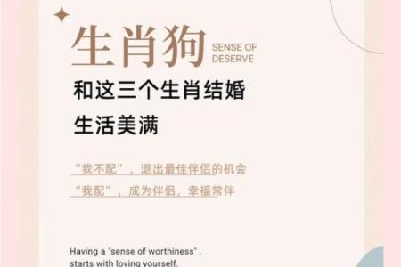 男兔女狗是否合适？生肖配对分析