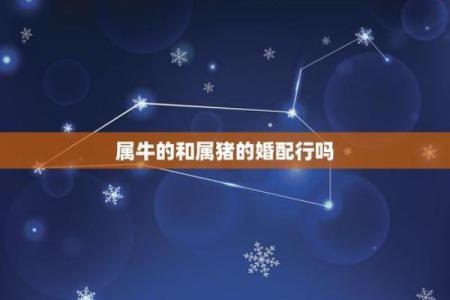 属牛女与属猪男能走到一起吗？