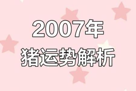 属猪人在的挑战与机会