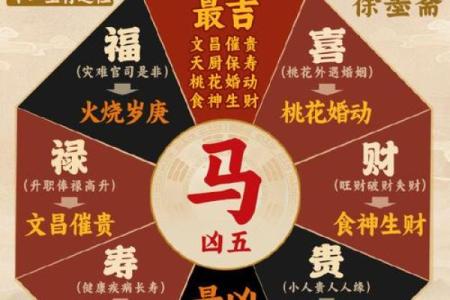 本命年马女的健康注意事项