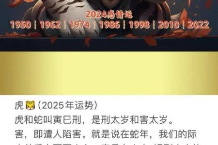 属虎运势预测：如何迎接机遇与挑战