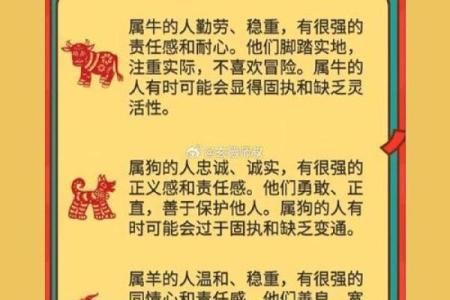 鼠女本命年如何克服人生中的不顺