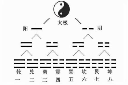 望字五行解析：解密其背后的深厚含义和影响