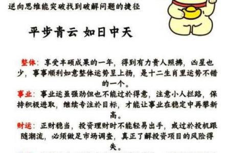生肖鼠相配度解析：属鼠的与属鼠的适合做伴侣吗