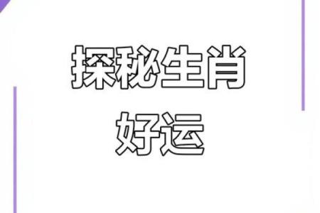 属相运势解析：如何根据生肖提升个人运程