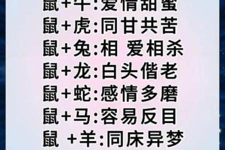 属鼠与属龙的缘分如何？两者的性格和谐吗？