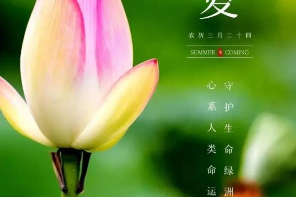 揭秘立夏是农历几月几日