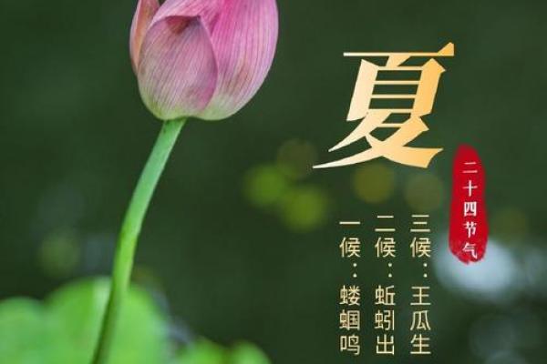 揭秘立夏是农历几月几日