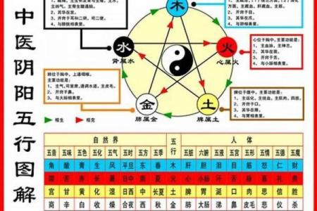 揭秘命五行属性，如何与命运和谐共处