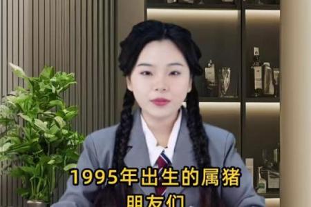属猪人运势起伏：如何在事业与感情中平衡发展