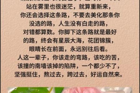 身命概念解读：它如何影响我们的人生选择