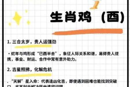 龙运来临：鸡年运程中的财富与事业机遇