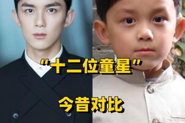 童星男演员名字及代表作品一览