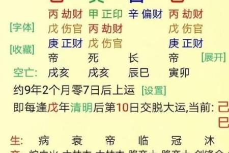 如何通过婚姻生辰八字查询系统预测你的婚姻运势？