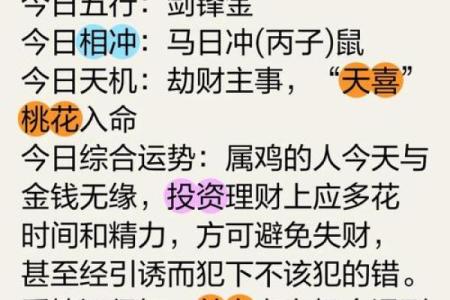 属鸡八字命运揭秘：如何通过八字调整运势提升人生幸福