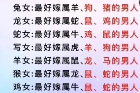 男属鸡女属鼠的婚姻匹配度分析