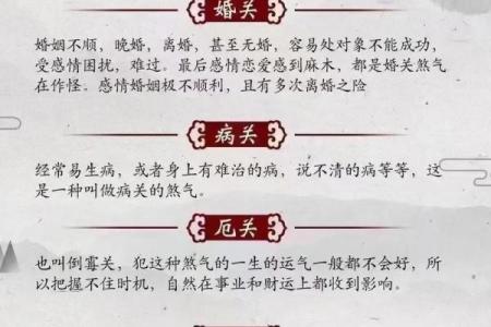 上等命的定义与特征解析