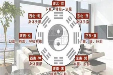 家居色彩风水对家庭运势的影响解析