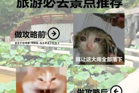 广西平南风水的独特性与其对地方风貌的深远影响