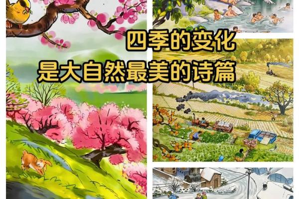 农历气时间表，带你感受四季的奇妙变迁