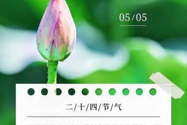探秘农历立夏：古老节气如何影响现代生活