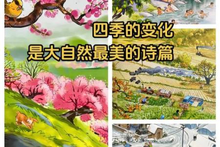 农历气时间表，带你感受四季的奇妙变迁