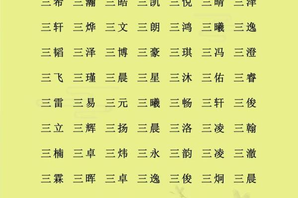 三字名字的魅力与独特风采