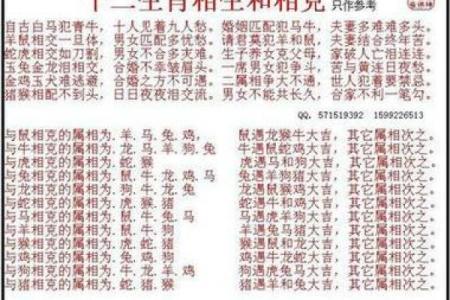 生肖配对宝典：揭秘老万年历中的最佳伴侣