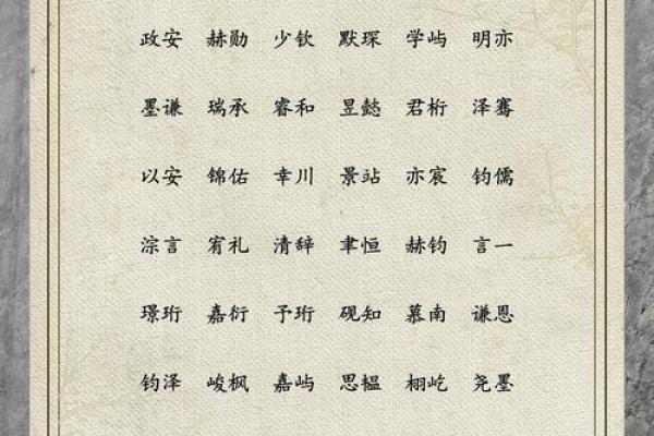 男孩名字中带宸的独特寓意与选择技巧