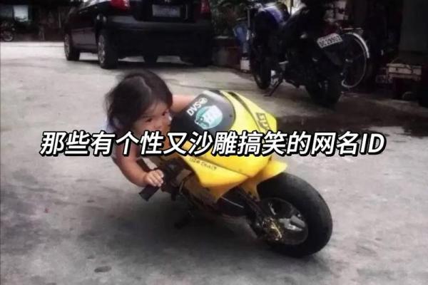 适合男生的王者名字，彰显霸气与个性
