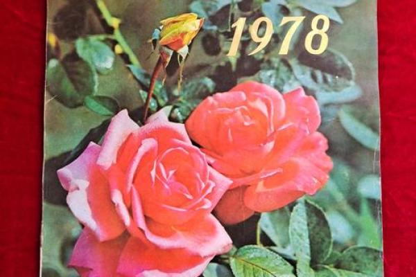 1963年7月：风云变幻的岁月印记
