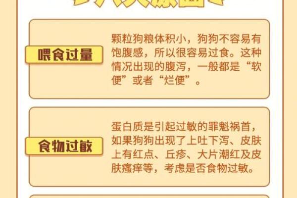 狗年生肖运势指南：财富增长，运势亨通，必备参考
