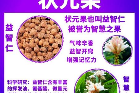 状元名字中的智慧与寓意