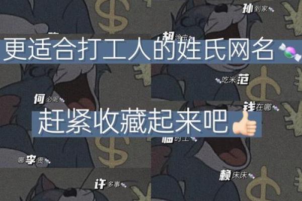 打造独特又酷的名字，让你与众不同