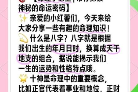 刚在五行中如何找到自己的命运密码？