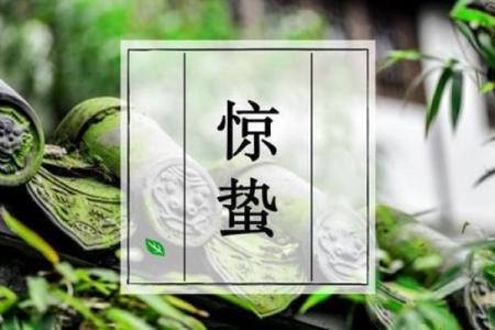 蚁字的五行属性揭秘：如何影响命运运势？
