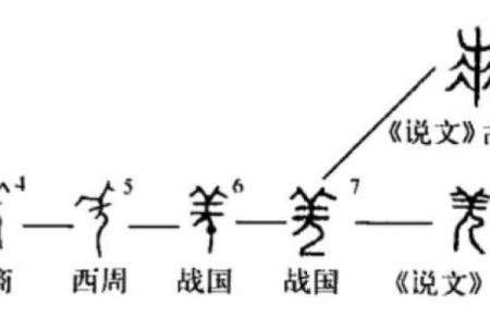 文言文名字的演变与历史意义