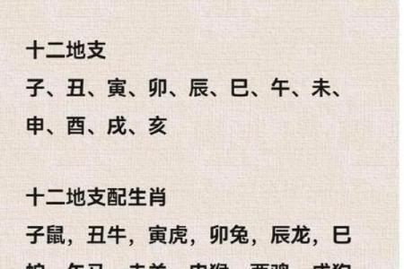属鼠人的财运与事业运预测