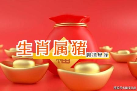 探索鼠与猪的生肖配对运势