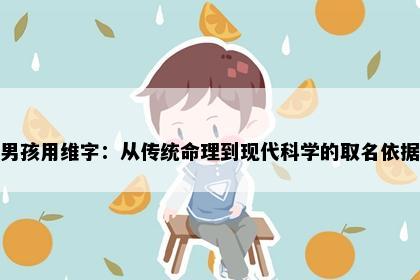 男孩用维字：从传统命理到现代科学的取名依据